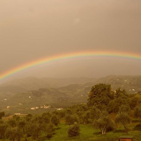 فيلا Casale Camaiore كابانّوري المظهر الخارجي الصورة