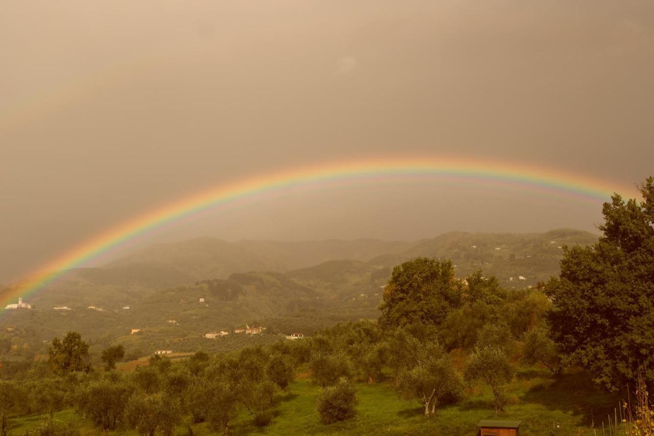 فيلا Casale Camaiore كابانّوري المظهر الخارجي الصورة